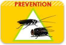prevention anti insecte